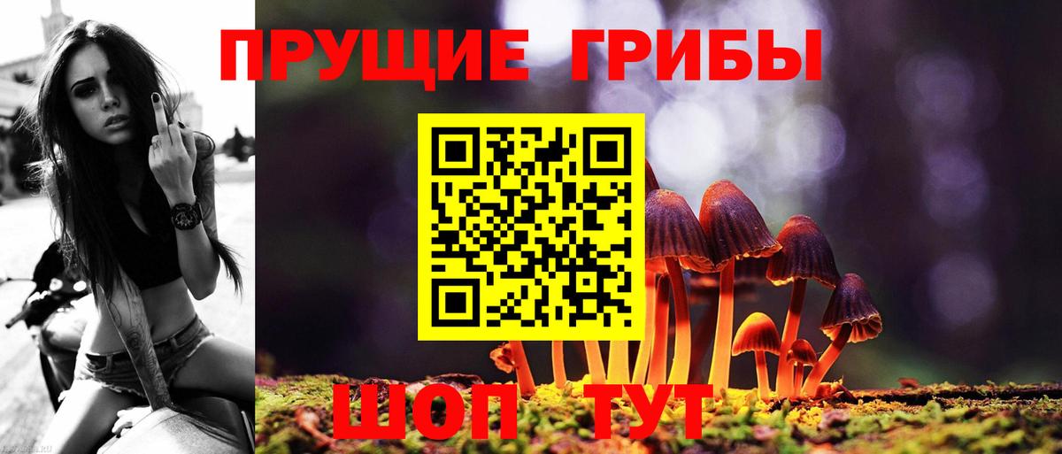 Галлюциногенные грибы прущие грибы  Вход с VPN  Псилоцибиновые грибы прущие грибы  Грозный 