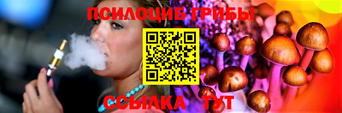 Псилоцибиновые грибы Cubensis Грозный
